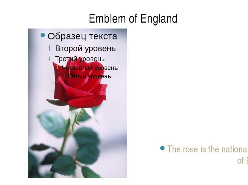 The rose is the national emblem of England. Emblem of England