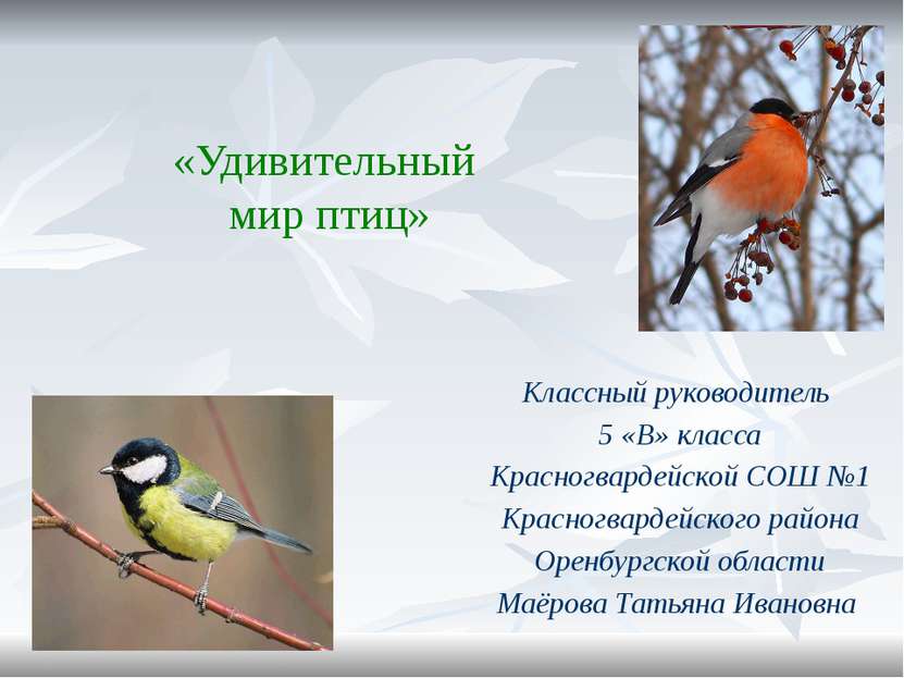 «Удивительный мир птиц» Классный руководитель 5 «В» класса Красногвардейской ...