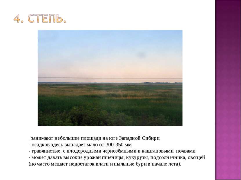- занимают небольшие площади на юге Западной Сибири, - осадков здесь выпадает...