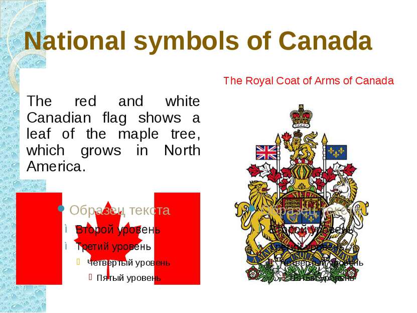 National symbols of Canada The red and white Canadian flag shows a leaf of th...