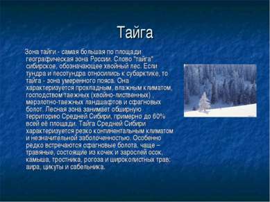 Тайга Зона тайги - самая большая по площади географическая зона России. Слово...