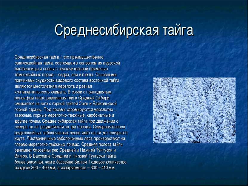 Среднесибирская тайга Среднесибирская тайга – это преимущественно светлохвойн...