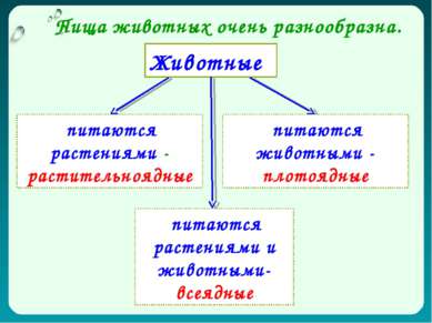 Животные Пища животных очень разнообразна. питаются растениями - растительноя...