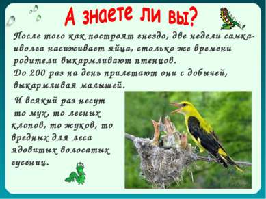 И всякий раз несут то мух, то лесных клопов, то жуков, то вредных для леса яд...