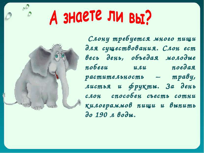 Слону требуется много пищи для существования. Слон ест весь день, объедая мол...