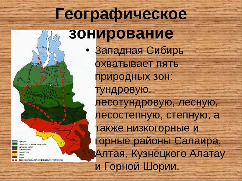 Географическое зонирование Западная Сибирь охватывает пять природных зон: тун...