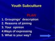 Youth Subculture (Молодежная субкультура)