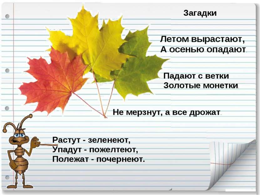 Загадки Летом вырастают, А осенью опадают. Падают с ветки Золотые монетки. Ра...