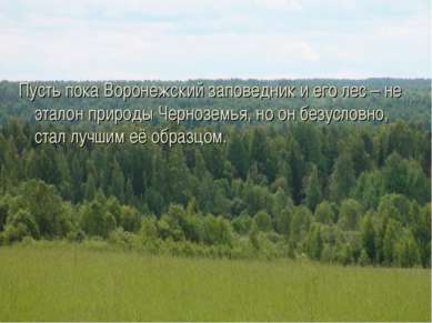 Пусть пока Воронежский заповедник и его лес – не эталон природы Черноземья, н...