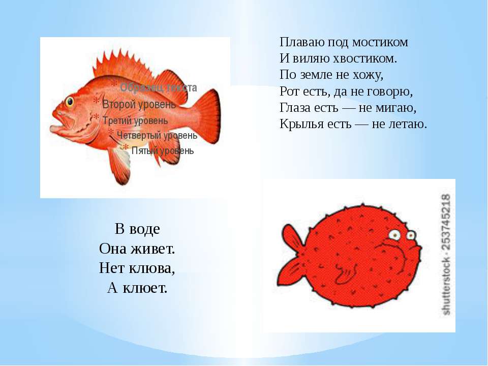 Рыбы 2 класс задания. Загадка про рыбку для детей. Загадки про рыб для детей. Загадки про морских обитателей для детей. Загадки про рыб для дошкольников.