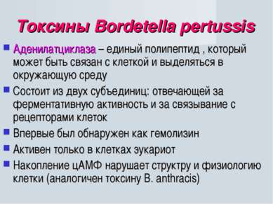 Токсины Bordetella pertussis Аденилатциклаза – единый полипептид , который мо...