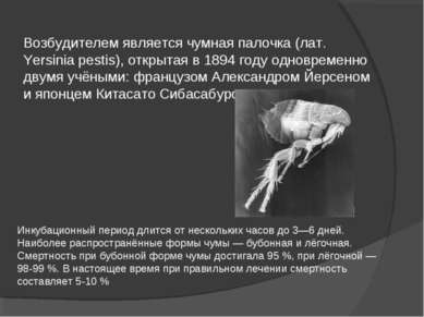 Возбудителем является чумная палочка (лат. Yersinia pestis), открытая в 1894 ...