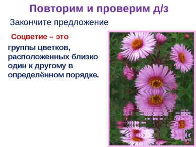 Повторим и проверим д/з Закончите предложение Соцветие – это … группы цветков...