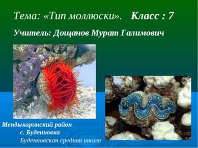 Тема: «Тип моллюски». Класс : 7 Учитель: Дощанов Мурат Галимович Мендыкаринск...