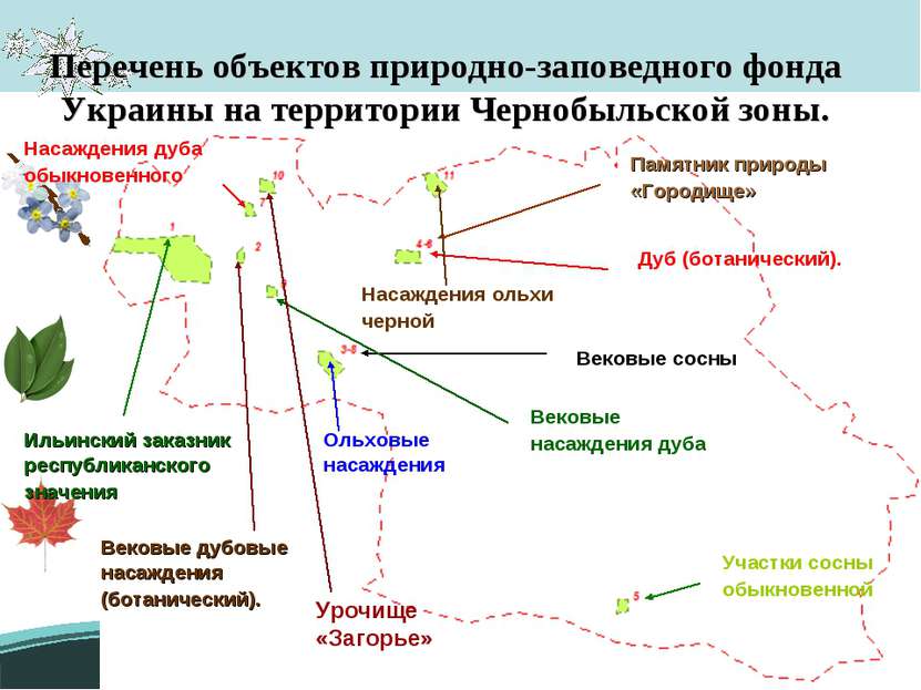 Перечень объектов природно-заповедного фонда Украины на территории Чернобыльс...