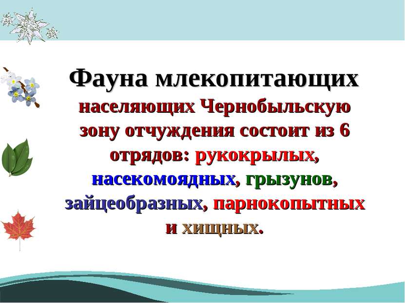 Фауна млекопитающих населяющих Чернобыльскую зону отчуждения состоит из 6 отр...