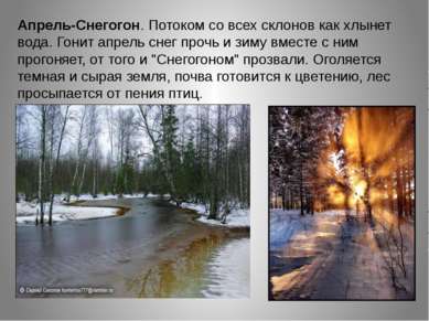 Апрель-Снегогон. Потоком со всех склонов как хлынет вода. Гонит апрель снег п...