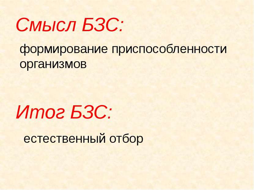 Смысл БЗС: формирование приспособленности организмов Итог БЗС: естественный о...