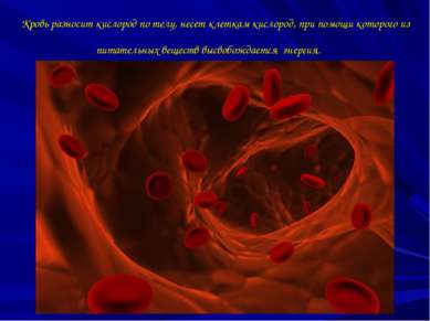 Кровь разносит кислород по телу, несет клеткам кислород, при помощи которого ...