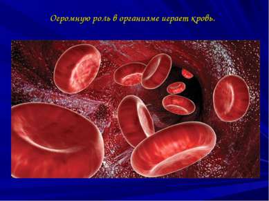 Огромную роль в организме играет кровь.