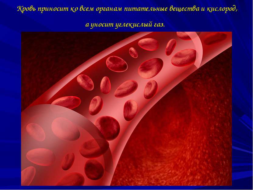 Кровь приносит ко всем органам питательные вещества и кислород, а уносит угле...
