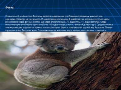 Фауна: Отличительной особенностью Австралии является подавляющее преобладание...