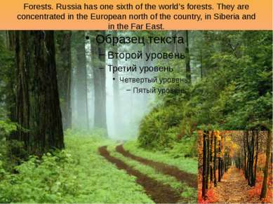 Forests. Russia has one sixth of the world’s forests. They are concentrated i...
