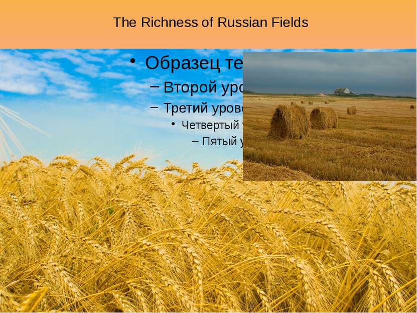 The Richness of Russian Fields