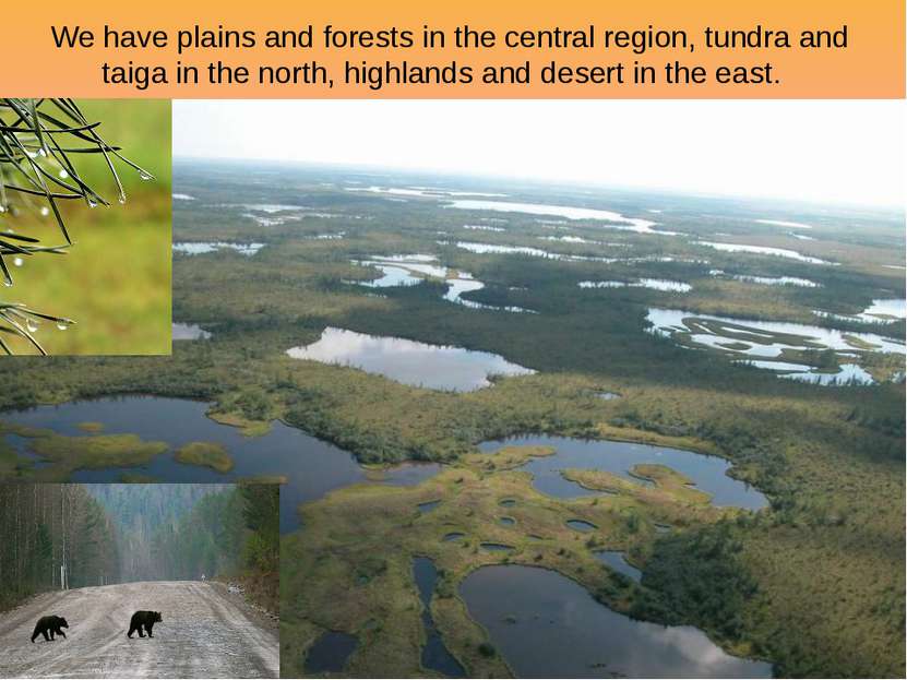 We have plains and forests in the central region, tundra and taiga in the nor...