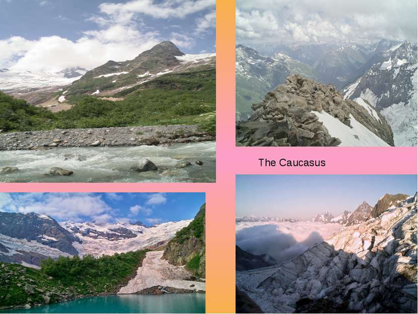 The Caucasus