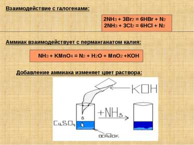 Аммиак взаимодействует с перманганатом калия: NH3 + KMnO4 = N2 + H2O + MnO2 +...