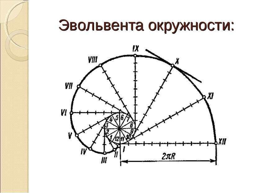 Эвольвента окружности: