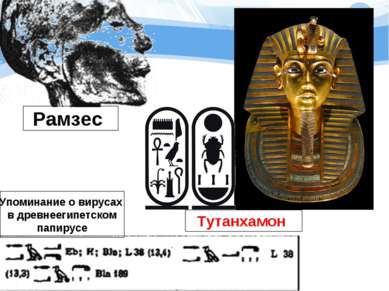 Тутанхамон Рамзес Упоминание о вирусах в древнеегипетском папирусе