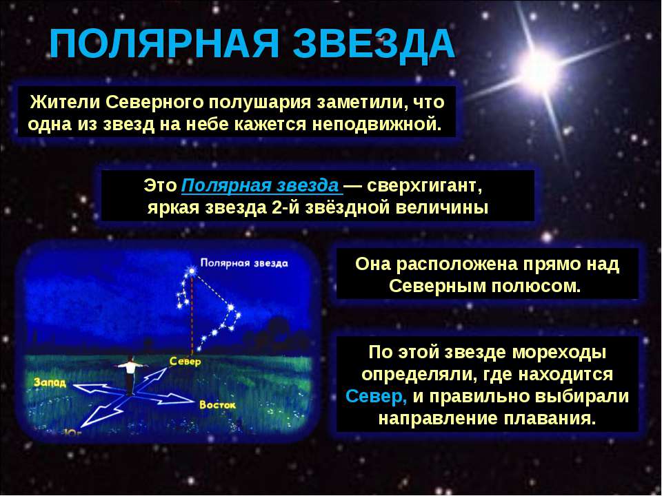 Сколько полярных звезд. Полярная звезда доклад. Презинтация на тему "Полярная звезда". Информация о полярной звезде. Полярная звезда презентация.