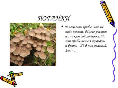 ПОГАНКИ В лесу есть грибы, что не надо искать, Много растет их на каждой поля...