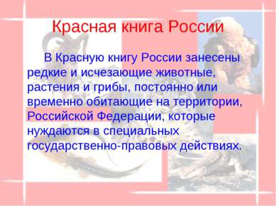 Красная книга России В Красную книгу России занесены редкие и исчезающие живо...