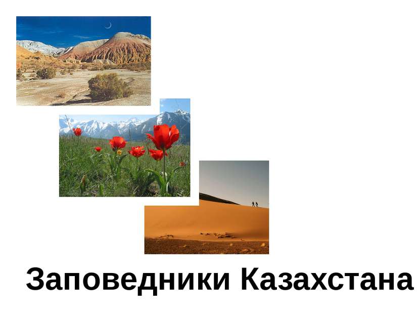 Заповедники Казахстана