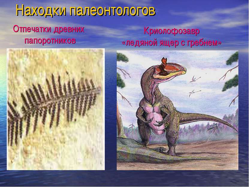 Находки палеонтологов Криолофозавр «ледяной ящер с гребнем» Отпечатки древних...