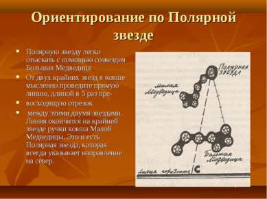 Ориентирование по Полярной звезде Полярную звезду легко отыскать с помощью со...