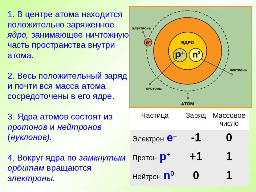 1. В центре атома находится положительно заряженное ядро, занимающее ничтожну...