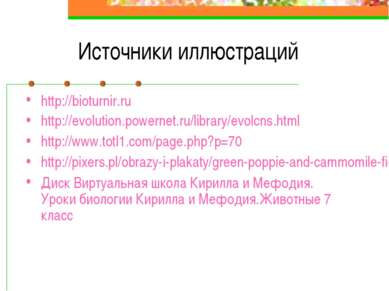 Источники иллюстраций http://bioturnir.ru http://evolution.powernet.ru/librar...