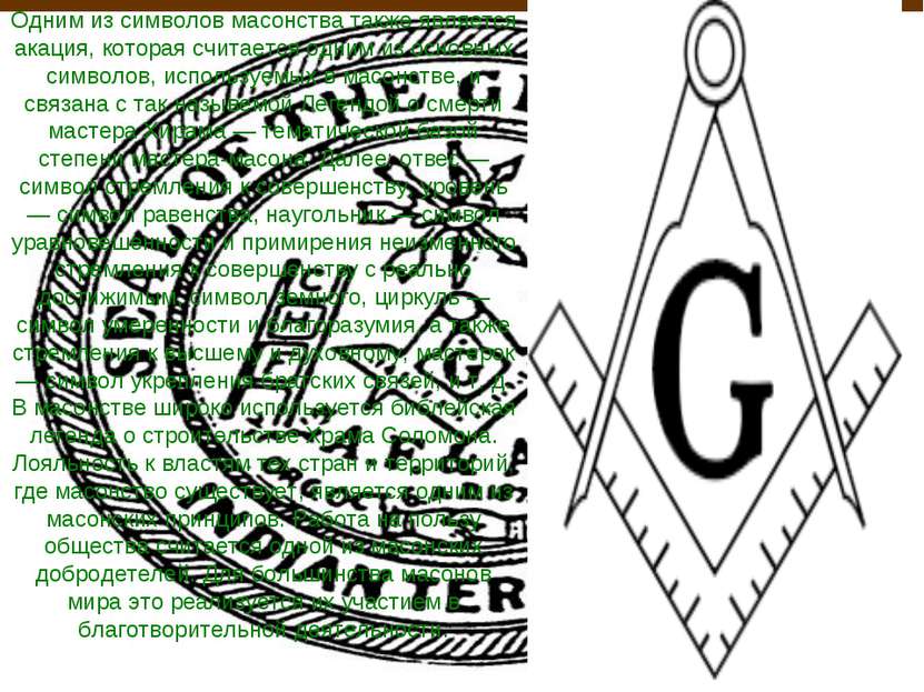 Одним из символов масонства также является акация, которая считается одним из...
