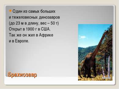 Брахиозавр Один из самых больших и тяжеловесных динозавров (до 23 м в длину, ...
