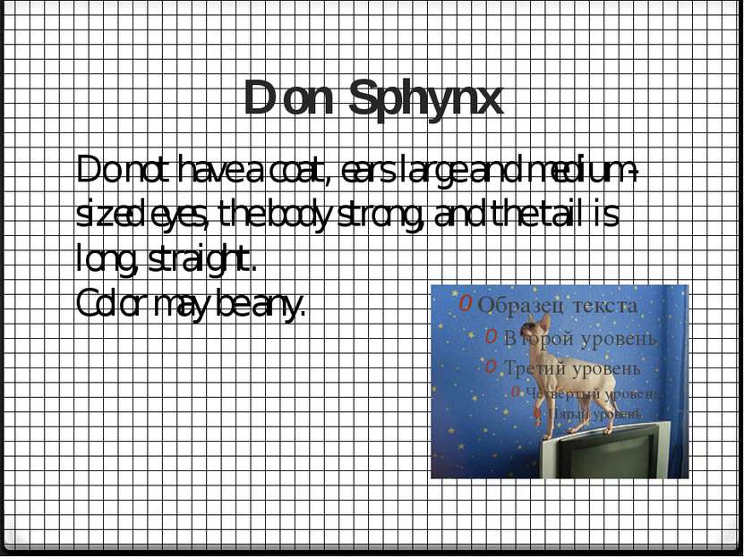 Don Sphynx Do not have a coat, ears large and medium-sized eyes, the body str...