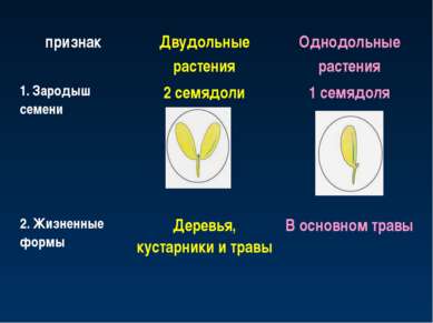 признак Двудольные растения Однодольные растения 1. Зародыш семени 2 семядоли...