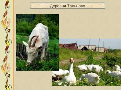 Деревня Тальново