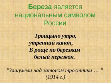 Береза является национальным символом России Троицыно утро, утренний канон, В...