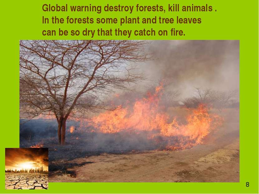 Global warning destroy forests, kill animals . In the forests some plant and ...