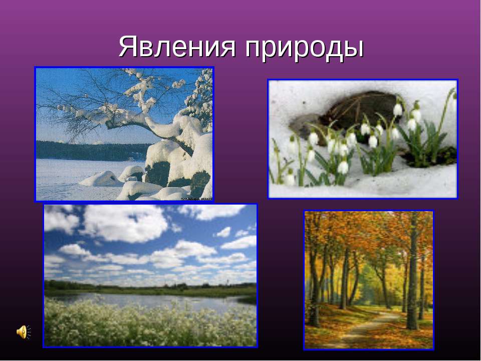 Сезонные явления природы Полянский. Рисование фотографии природу зимой или осени.