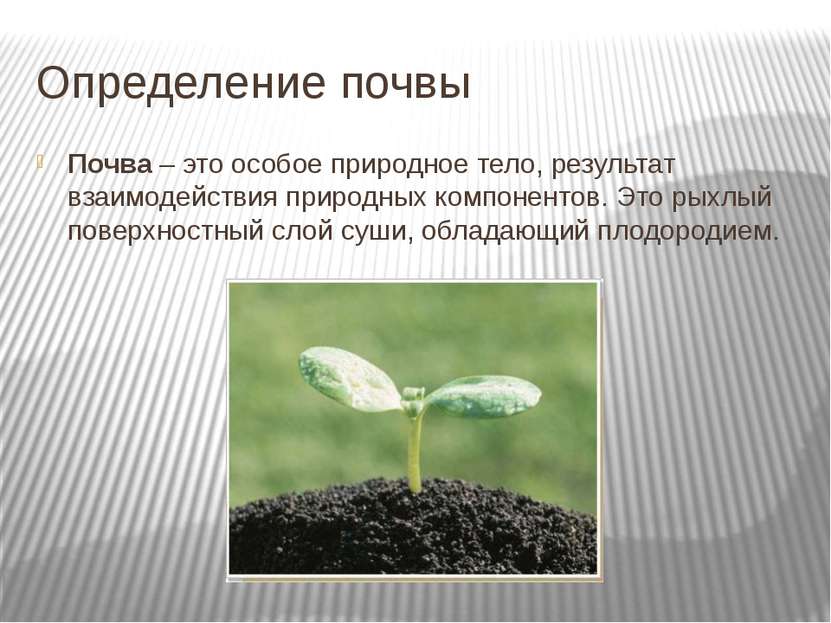 Определение почвы Почва – это особое природное тело, результат взаимодействия...
